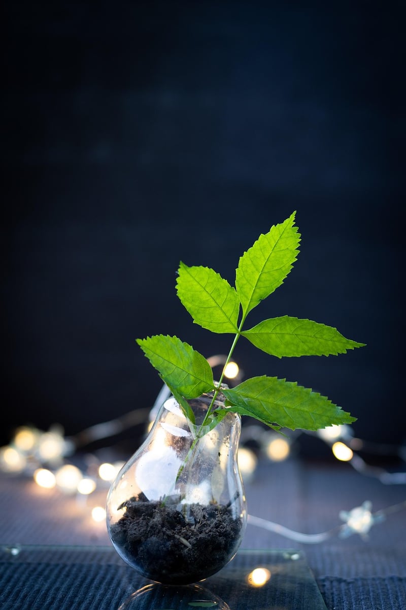 Upcycled Glass Jars